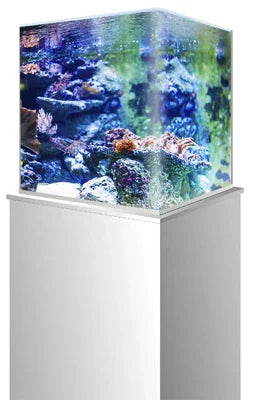 Aquarium récifal cubique sur meuble blanc, décoré de pierres vivantes et coraux colorés