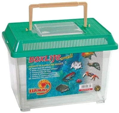 Bac aquarium plastique transparent avec couvercle vert et poignée, idéal petits animaux aquatiques