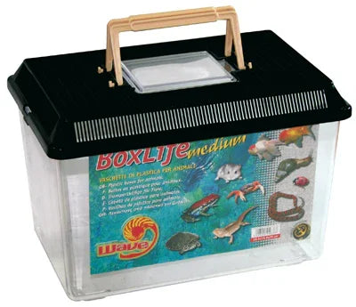 BOXLIFE MEDIUM