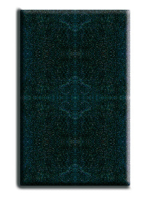 CARTOUCHE MOUSSE FILTRE NIAGARA 190