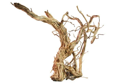 Racine naturelle de bois pour aquarium décoratif, idéale aquascaping eau douce