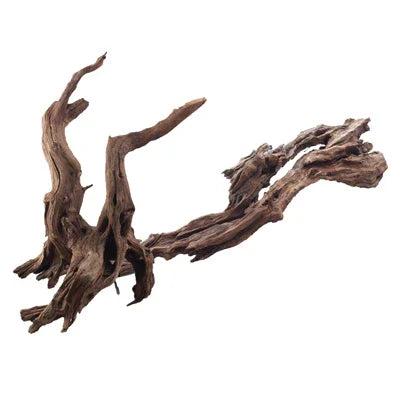 Racine naturelle pour aquarium, décoration en bois pour aquascaping récifal ou eau douce