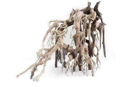 Racine naturelle pour aquarium, décoration aquascaping branches tortueuses sur fond blanc
