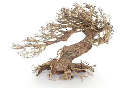 Racine d'aquarium naturelle en forme de bonsaï pour décoration d'aquascaping