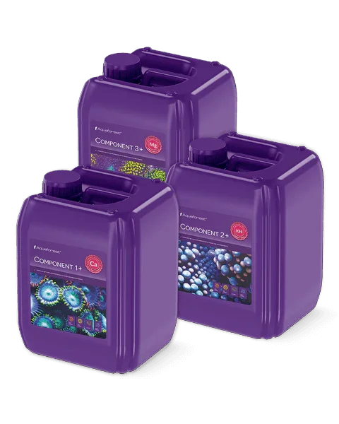 Bidons violets de compléments aquarium récifal, étiquettes coraux colorés