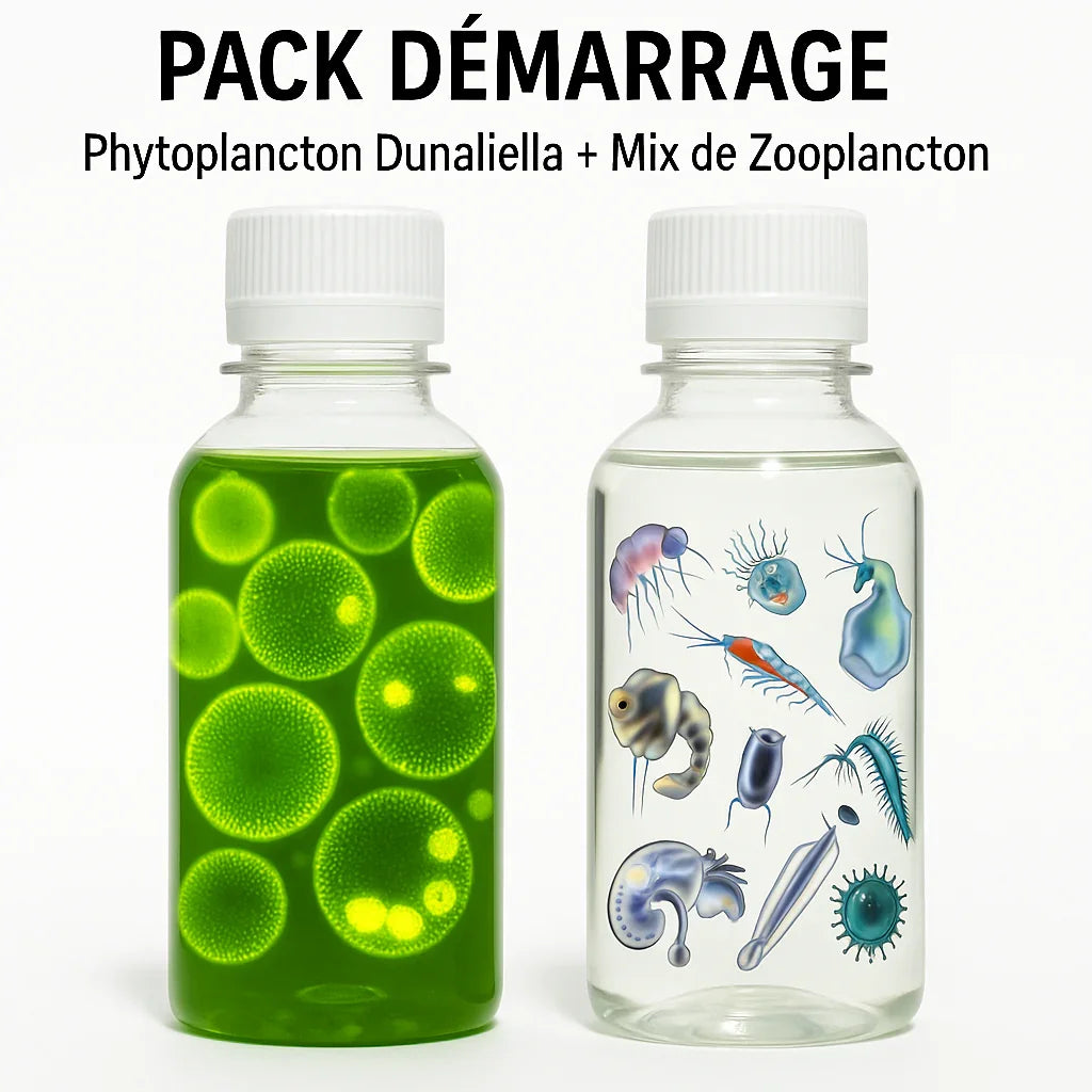 Pack démarrage aquarium : flacon de phytoplancton Dunaliella vert, flacon mix zooplancton