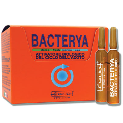 BACTERYA 5ml 12 ampoules EQUO by EQUO