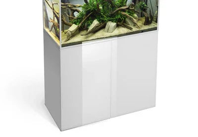 Aquarium récifal avec décor naturel, plantes et bois flotté sur meuble blanc