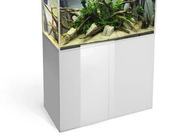 Aquarium récifal avec décor naturel, sable et bois flotté, sur meuble blanc moderne pour eau douce ou marine