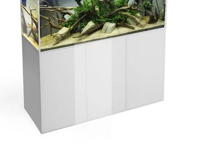 Aquarium récifal avec décor naturel et meuble blanc, idéal pour eau douce ou marine