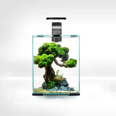 Nano aquarium avec arbre décoratif en mousse pour aquascaping, éclairage LED inclus