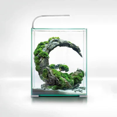 Aquarium nano avec décor rocheux et mousse pour aquascaping, éclairage LED inclus