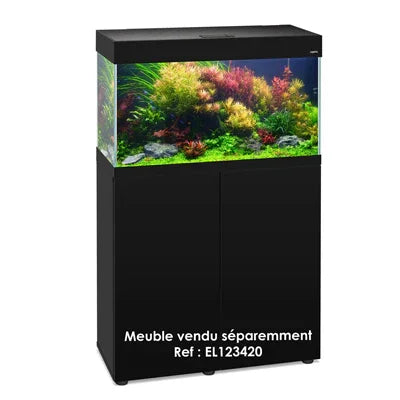 Aquarium eau douce planté sur meuble noir, décor naturel, plantes aquatiques colorées