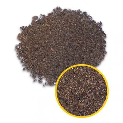 Nourriture en poudre pour poissons d’aquarium récifal, couleur brune, vue rapprochée