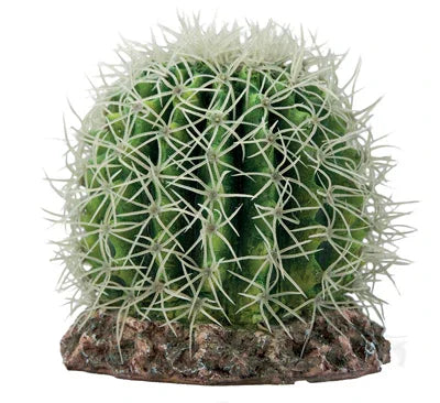 Ornement aquarium cactus vert réaliste, décor pour aquariums d'eau douce et récifaux