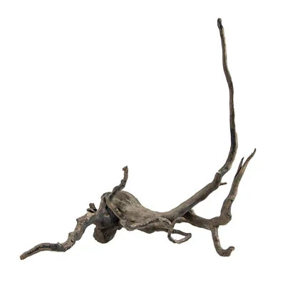Racine naturelle décorative pour aquarium, bois flotté forme unique, aquascaping