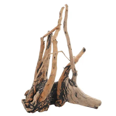 Racine d'aquarium naturelle décorative pour aquarium d'eau douce ou récifal
