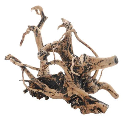 Racine décorative naturelle pour aquarium récifal ou eau douce, forme tortueuse, bois clair