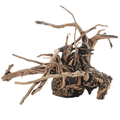 Racine décorative naturelle pour aquarium eau douce, idéale aquascaping, bois exotique