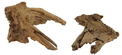 Deux racines naturelles pour aquarium, bois décoratif pour aquascaping eau douce