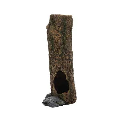 Décor tronc d'arbre creux pour aquarium, accessoire naturel pour poissons et crevettes