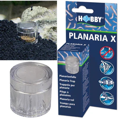 Piège à planaires pour aquarium avec boîte et emballage, accessoire eau douce et récifal