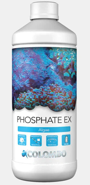Bouteille de Phosphate EX Colombo 500 ml pour aquarium récifal, décor coraux colorés, élimination phosphates