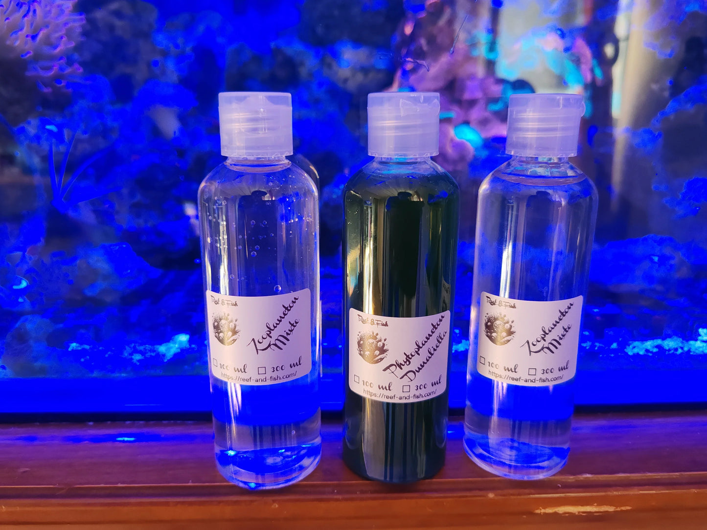 Trois flacons d’aliments vivants pour aquarium devant un fond marin bleu