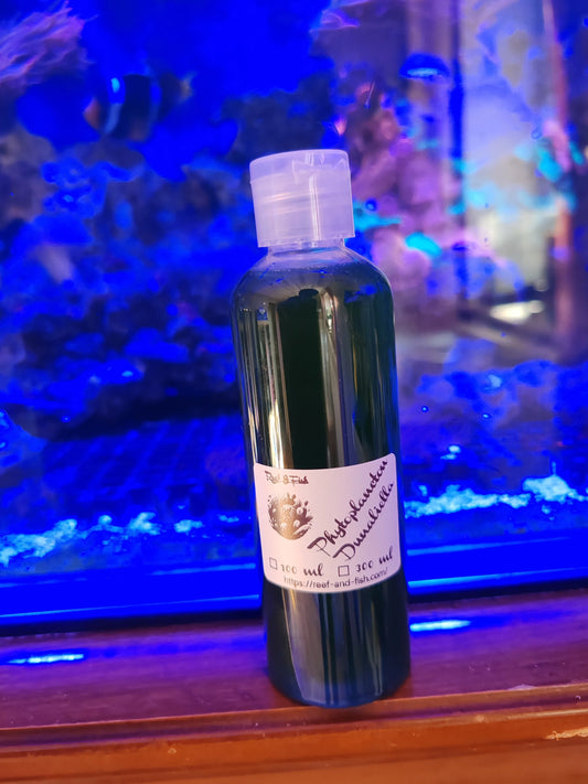 Flacon de phytoplancton Dunaliella pour aquarium récifal devant un aquarium éclairé en bleu