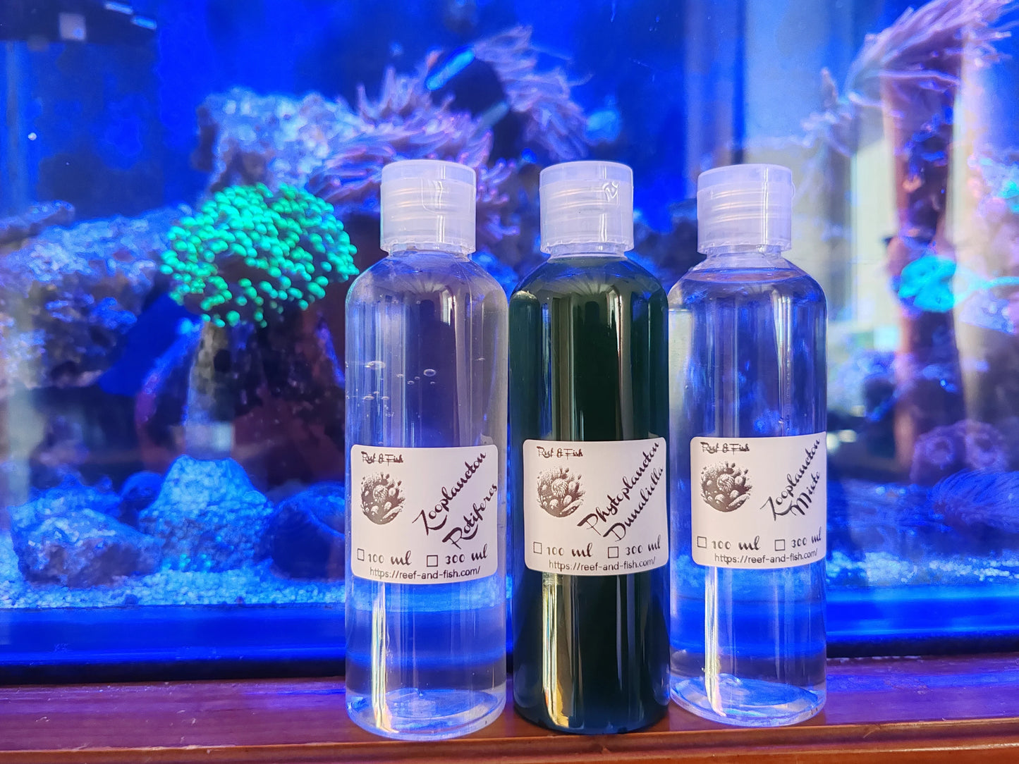 Trois flacons de phytoplancton et zooplancton pour aquarium devant un récif marin éclairé