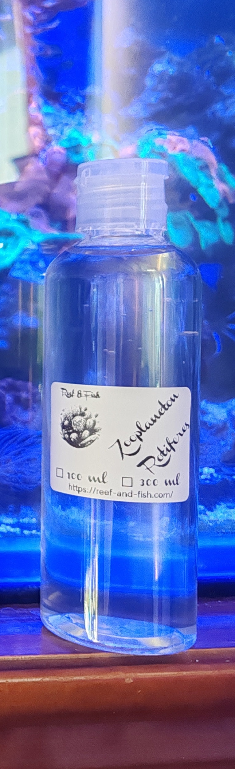 zooplancton rotifères Brachionus 100 ml