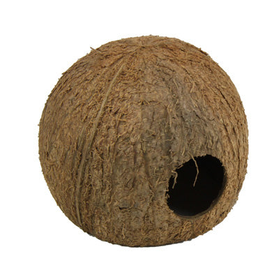 COCOS CAVA 3/4 JBL