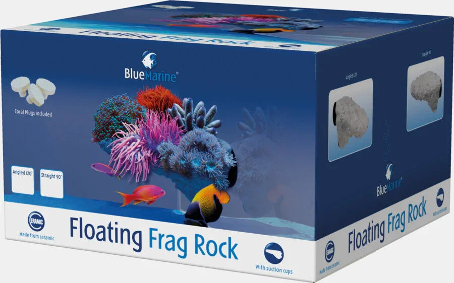 Boîte de pierre flottante pour boutures de corail, accessoire en céramique pour aquarium