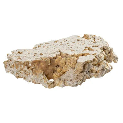 Pierre vivante naturelle pour aquarium récifal, texture poreuse et couleur beige claire