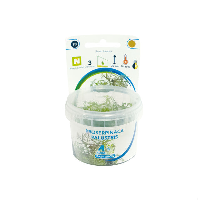 Easy Grow 93 Proserpinaca Palustris