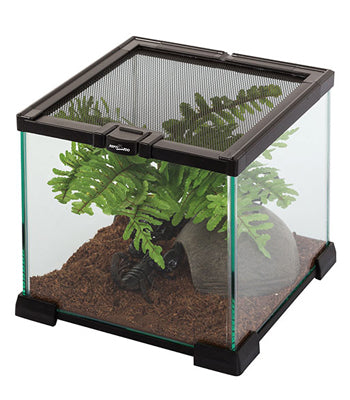 TERRARIUM 21x21x20cm REPTIZOO by DONGGUAN ETAN PET SUPPLIES CO,LTD.