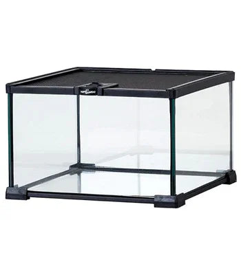TERRARIUM 31x31x20cm REPTIZOO by DONGGUAN ETAN PET SUPPLIES CO,LTD.
