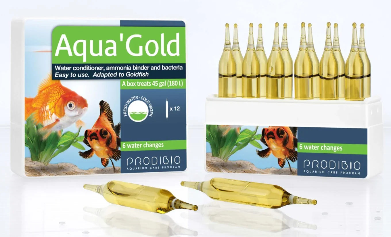 Aqua'Gold 12Amp