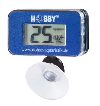 Thermomètre numérique aquarium avec ventouse, affichage température 25°C