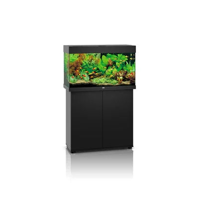 Aquarium eau douce sur meuble noir avec plantes et poissons tropicaux