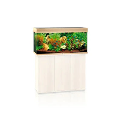 Aquarium eau douce sur meuble blanc, plantes aquatiques, décor naturel