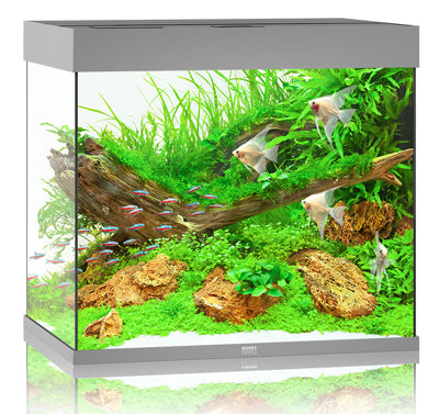 Aquarium LIDO 200 LED (2x led 590mm) GRIS JUWEL by JUWEL