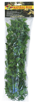 PLANTE MEXICAN PHYLLO GM ZOOMED ?