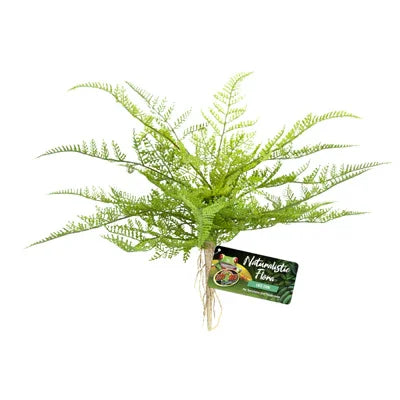 Plante artificielle verte pour aquarium, effet fougère décorative, étiquette visible
