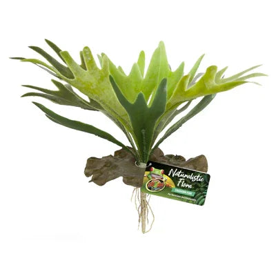 Plante artificielle verte pour aquarium, imitation fougère, avec racines et étiquette.