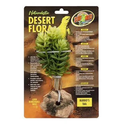 Plante artificielle pour terrarium, queue d'âne, fixée sur une roche décorative, fond désert