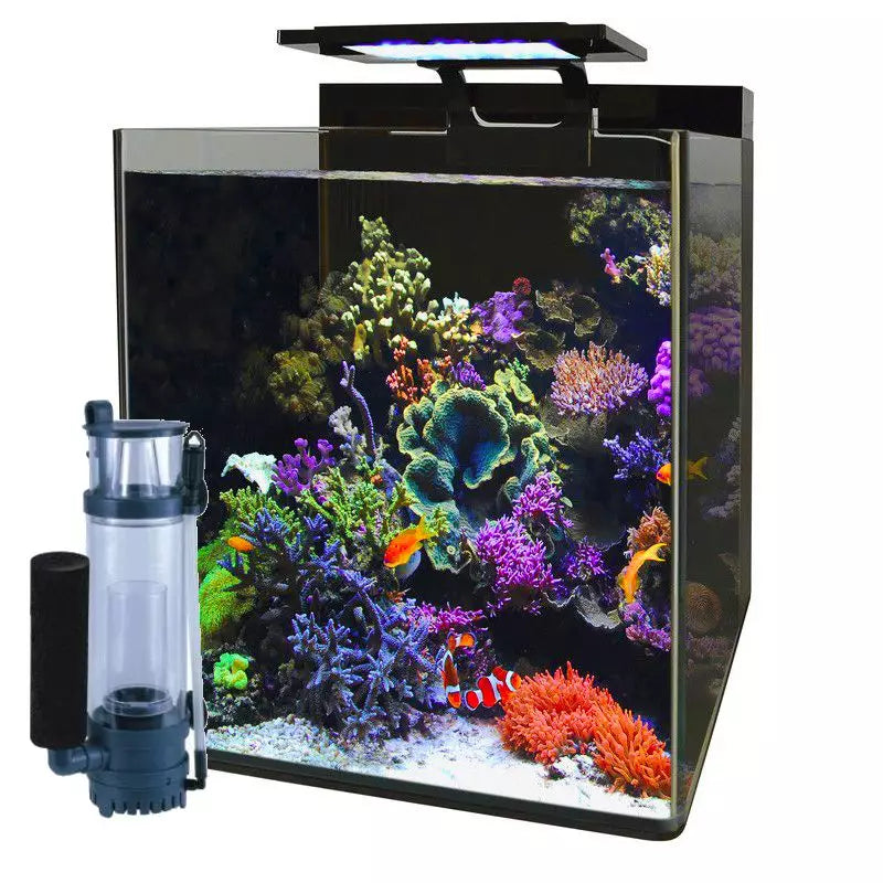 Blue Marine Reef 60 – Aquarium récifal 60L (Sur commande)