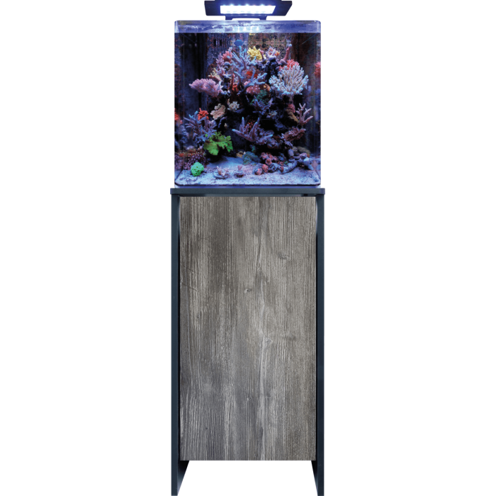 Blue Marine Reef 60 – Aquarium récifal 60L (Sur commande)