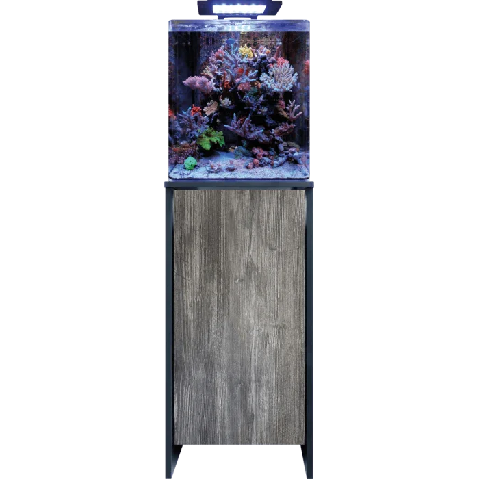 Aquarium récifal avec coraux colorés sur meuble en bois, éclairage LED