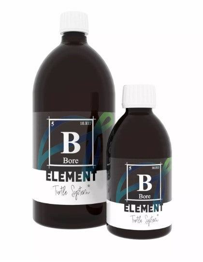 ELEMENT – Bore